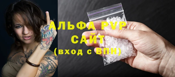прущие крисы Белокуриха