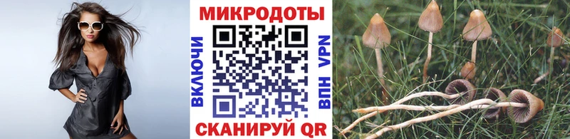 darknet клад  Электрогорск  Псилоцибиновые грибы мухоморы  blacksprut зеркало 